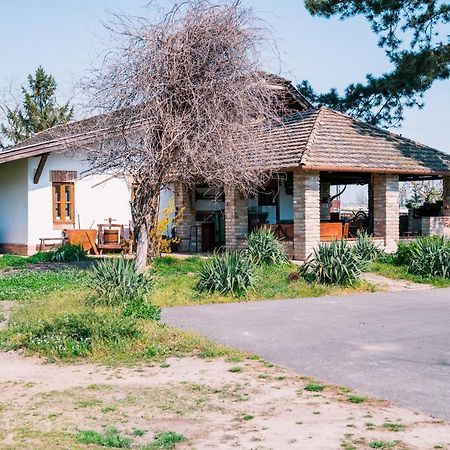 Sun City Vizisport Paradicsom Hódmezővásárhely Екстериор снимка
